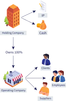 Graphic illustrating holding company ownership over an operating company